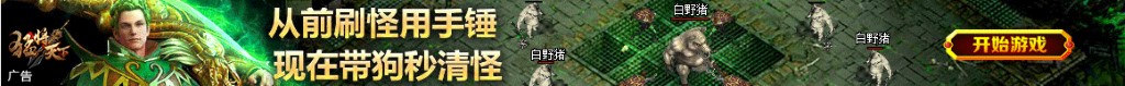 电路中z
